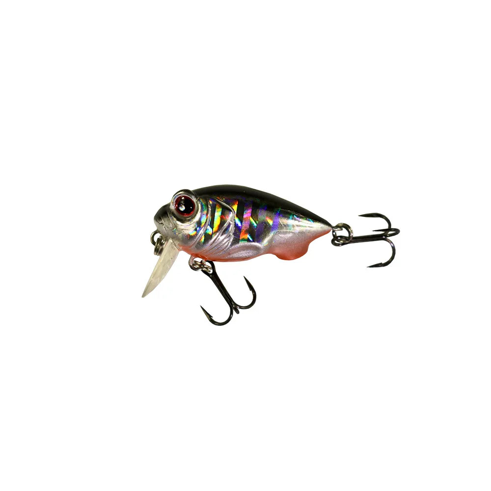 Shallow Water Crankbait — Little Frog, Bass & Trout