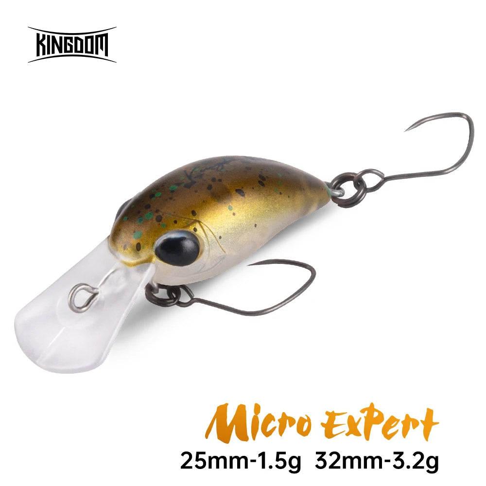 Micro Expert Minnow — Floating Topwater, 2 Sizes